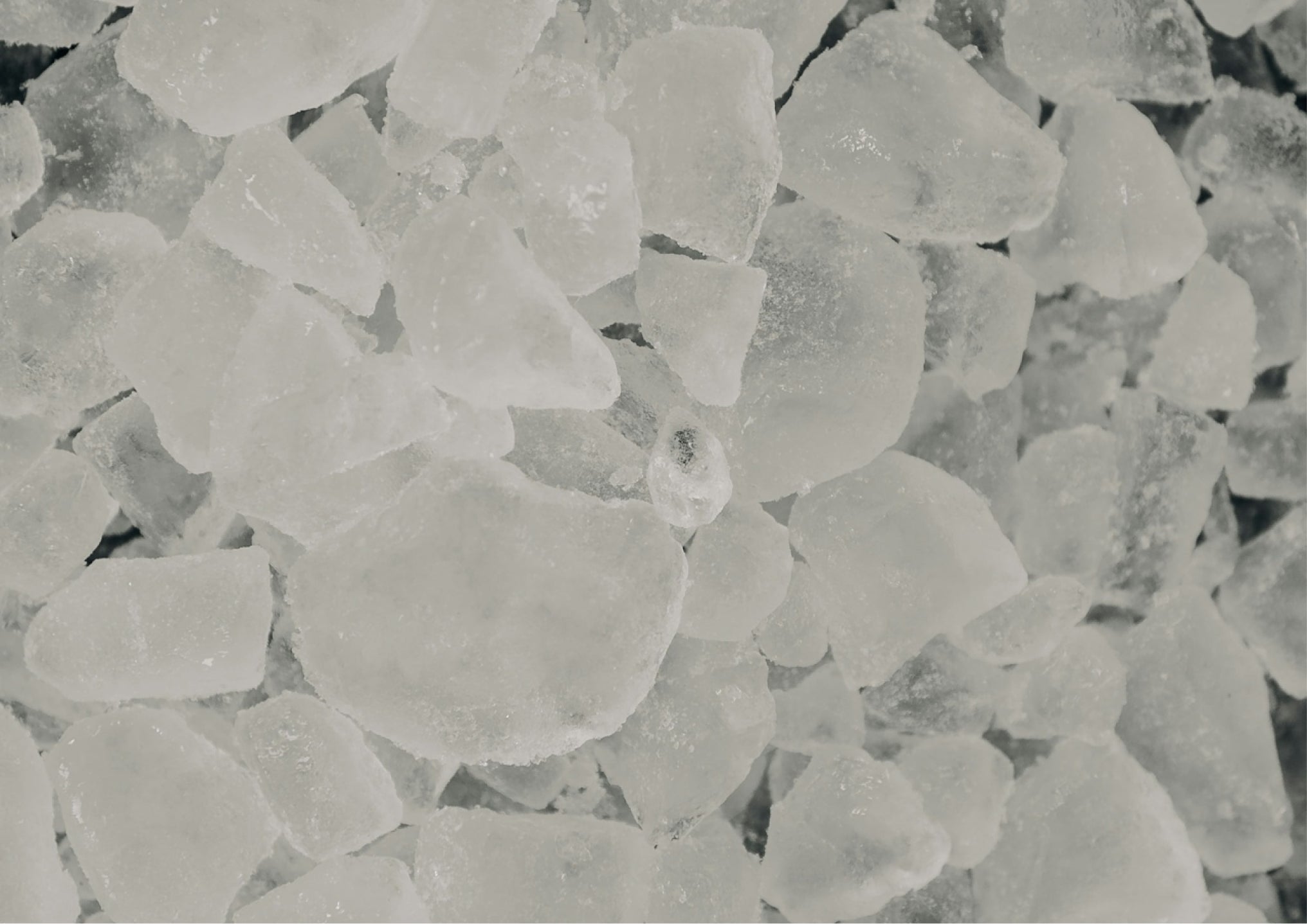 To freeze or not to freeze