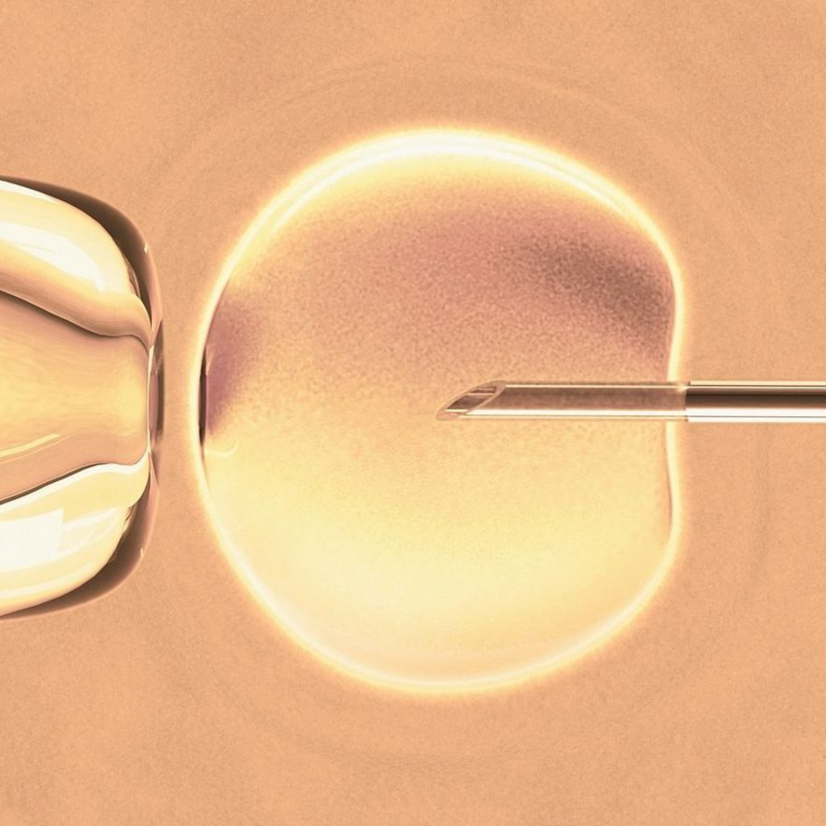 Fertility Treatment Options: greater choice and transparency required