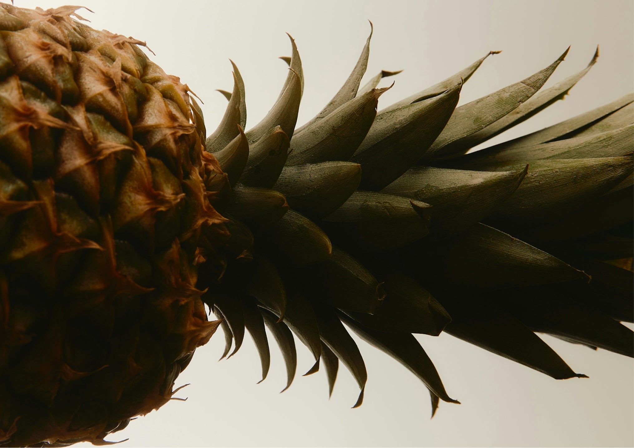 Why pineapples? 🍍