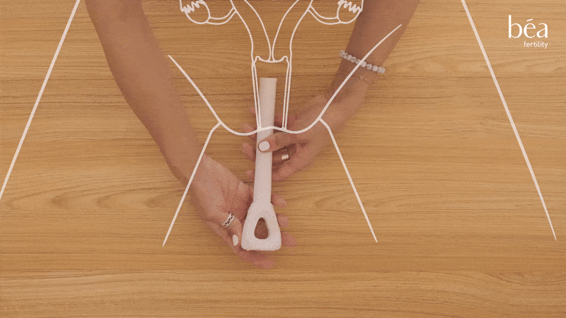 The Béa Treatment