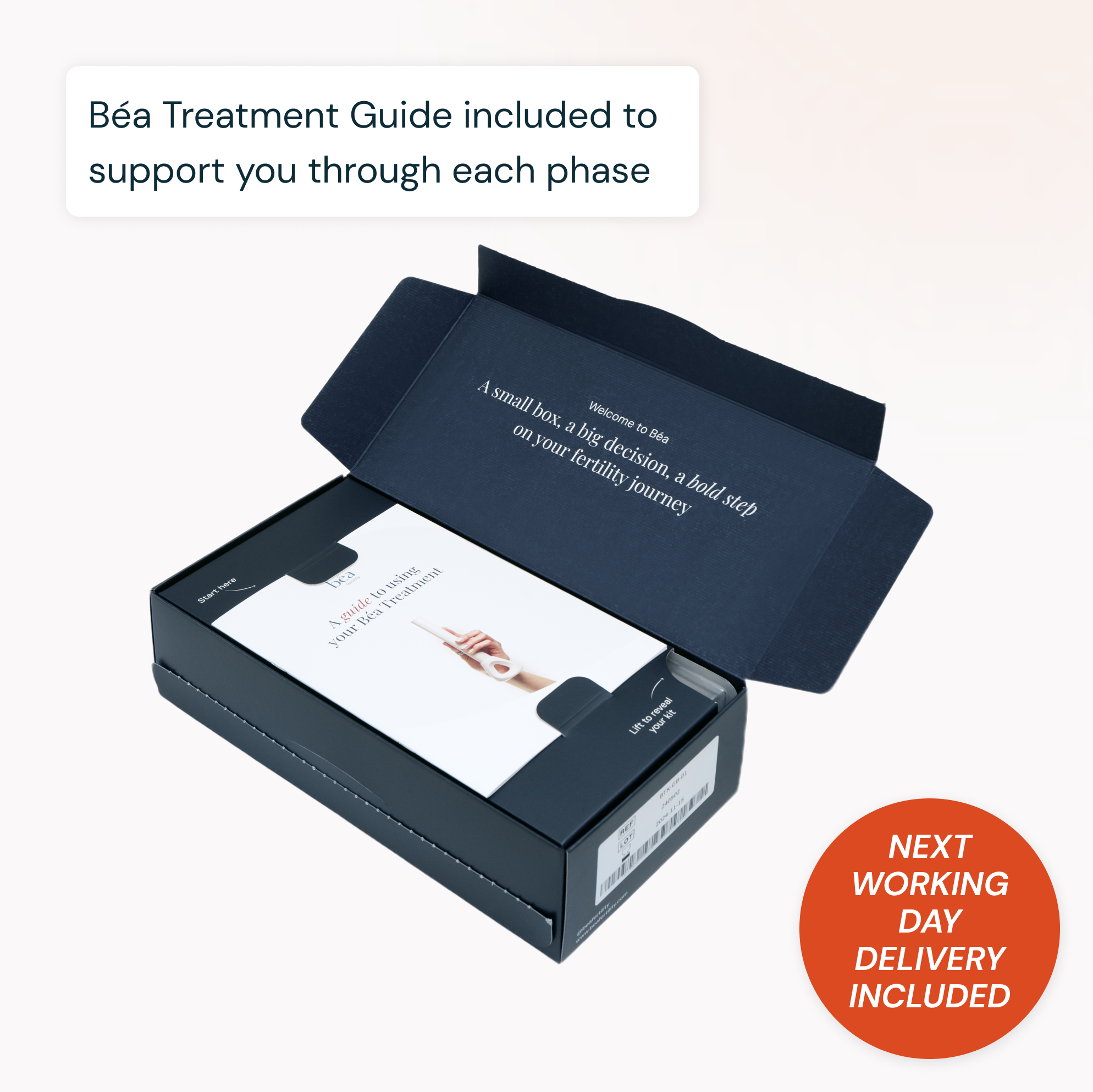 The Béa Treatment Kit