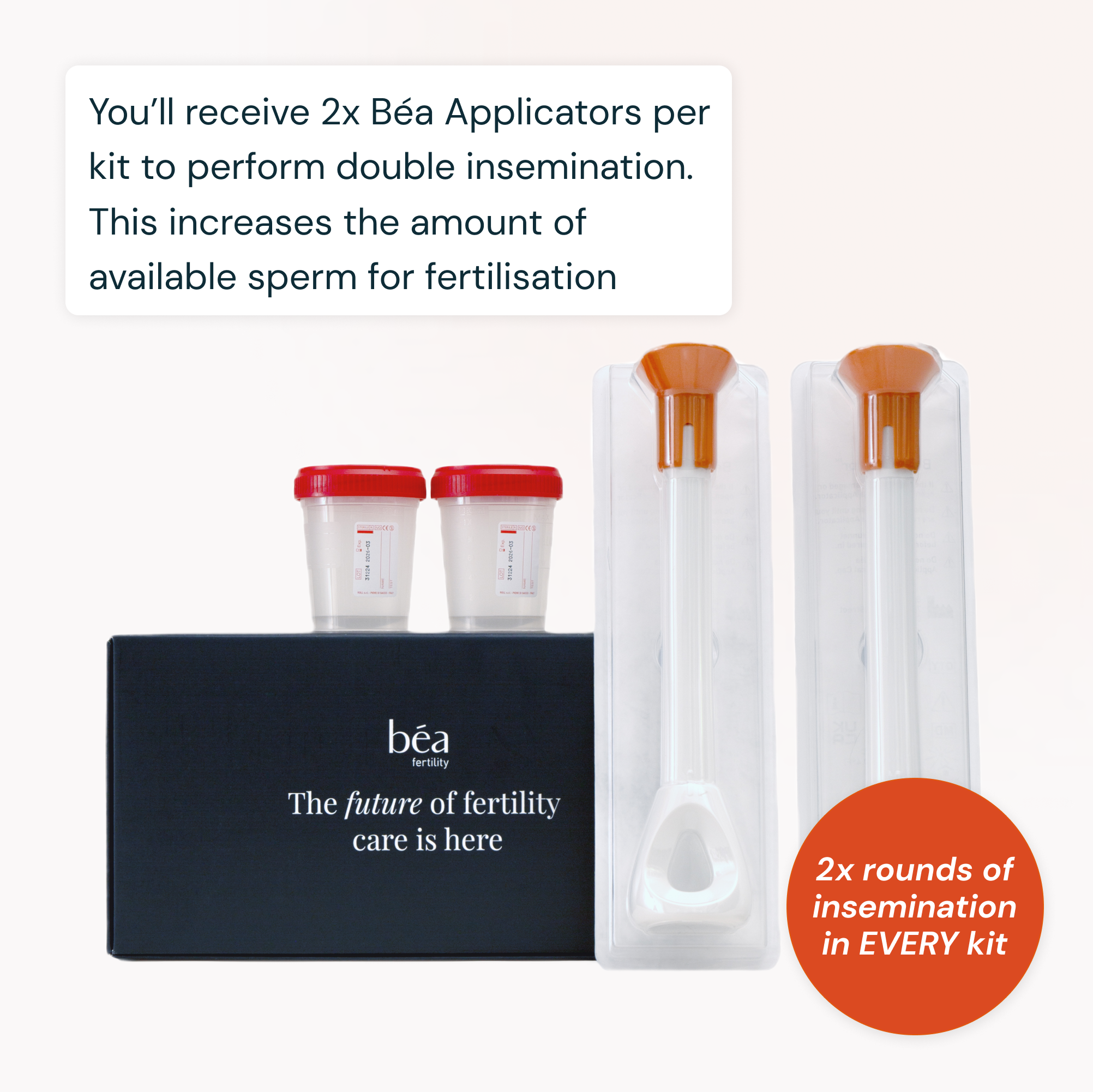 The Béa Treatment Kit